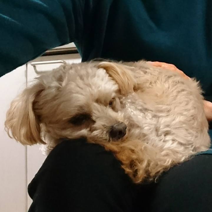 5d4eeebc eebf 490b 9bac 4de448332618 1577512184448