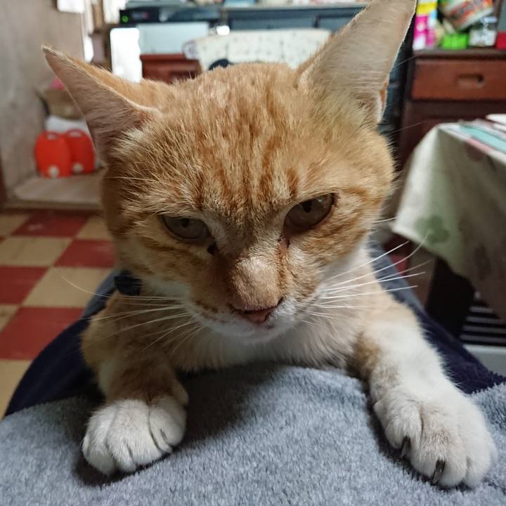 5d4f0378 b177 455f a7f8 20ed9fefd530 1559435361601