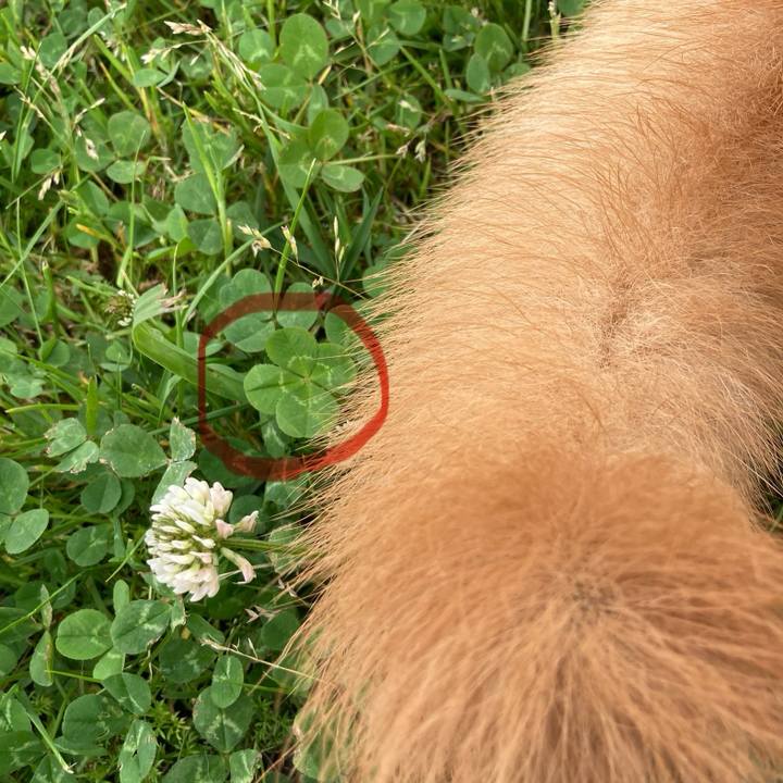 5d4f8040 ee09 4781 8705 42c30b206886 1714571732129