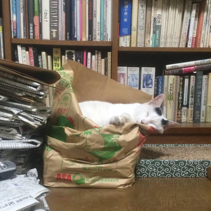 5d4f883c 1e21 495a a02c aa8202f6fff6 1535033901300