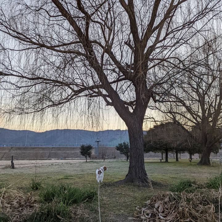 5d4f8a24 fe6f 48cf b8ec ea2a63e4c2a8 1643935433967