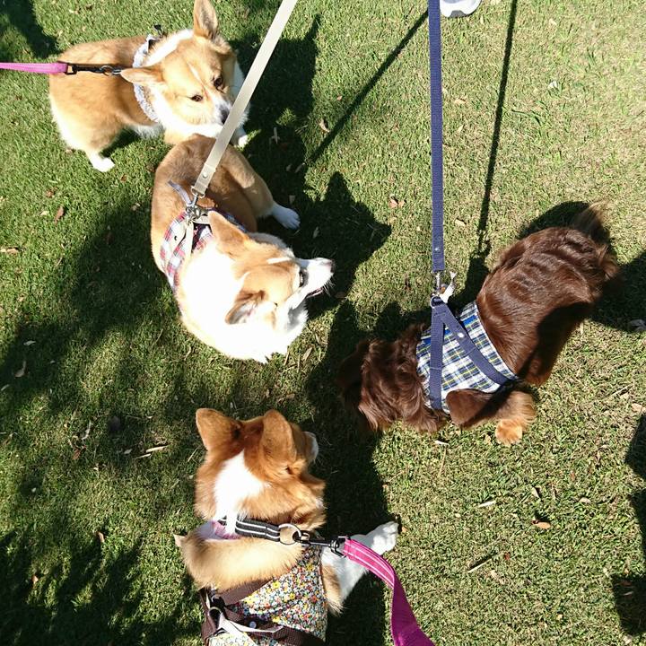 5d4f8abe bb02 40b4 862f 813ca180394f 1538892756139