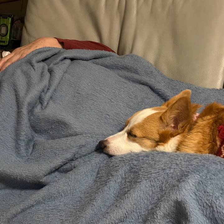 5d4f97ce 6448 4e20 8839 7a3acdef059a 1769263419102