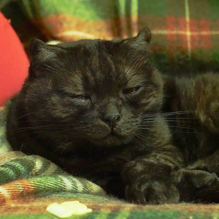 5d4feb94 87f7 479e 869f 48b4a788dbea 1567178982401