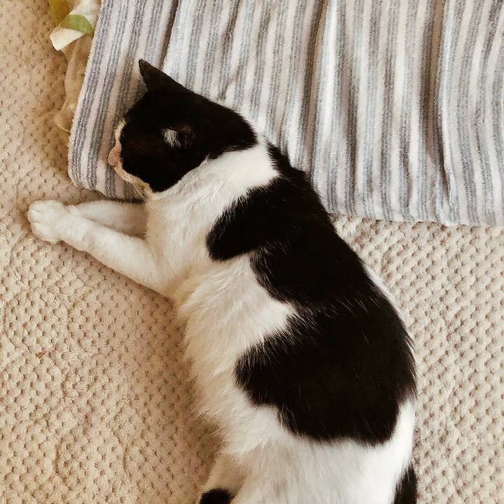 5d502705 debb 403a a43b 50e22088528d 1633437479491