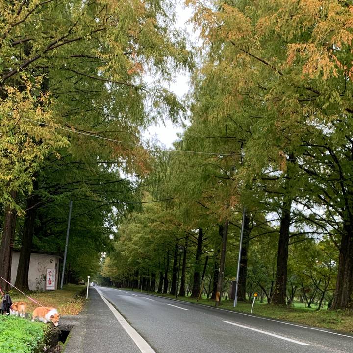 5d502b42 e2bd 4ebd 90fa a41f52106f5a 1605099218271