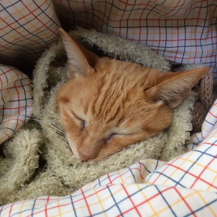 5d506cdf 6479 4ff4 9c05 181642c07ecf 1536063769360