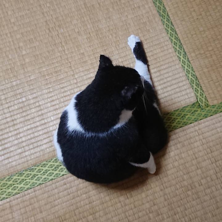 5d5082f8 6932 4c28 b4fa ef4cddf63399 1602473284487