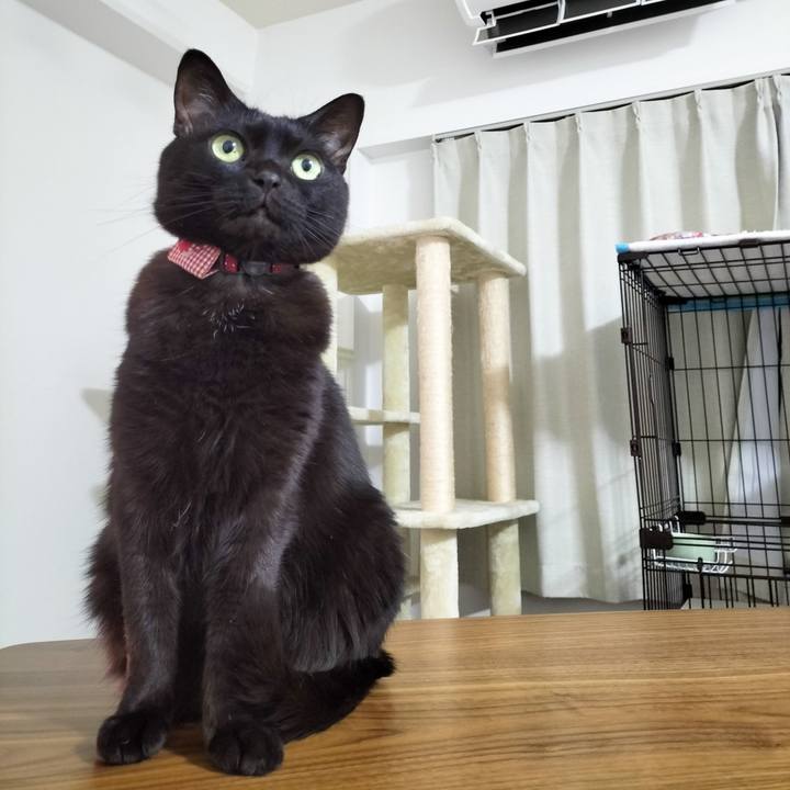 5d508b9b c1d9 40cf af02 59d423bbee91 1708259323973