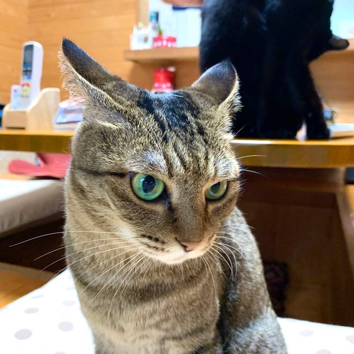 5d50c569 b71e 4d46 a9c9 9b688f78088b 1593412757921