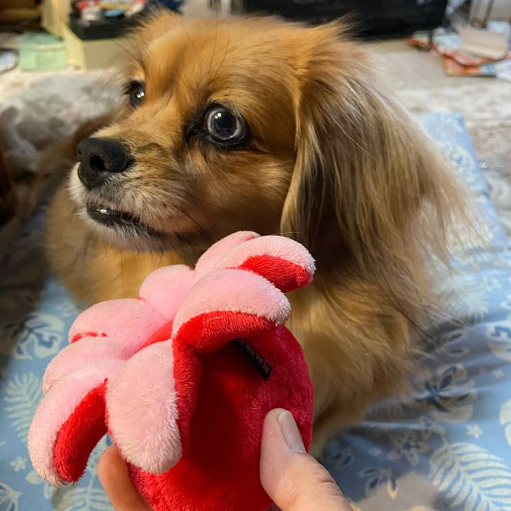 5d50d7d5 b40f 40d0 ac25 ff472663849e 1606860763821