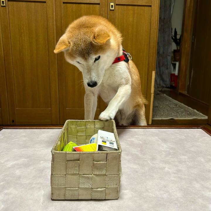 5d50e444 7509 4227 954a 62b11fdda2d6 1702718630445