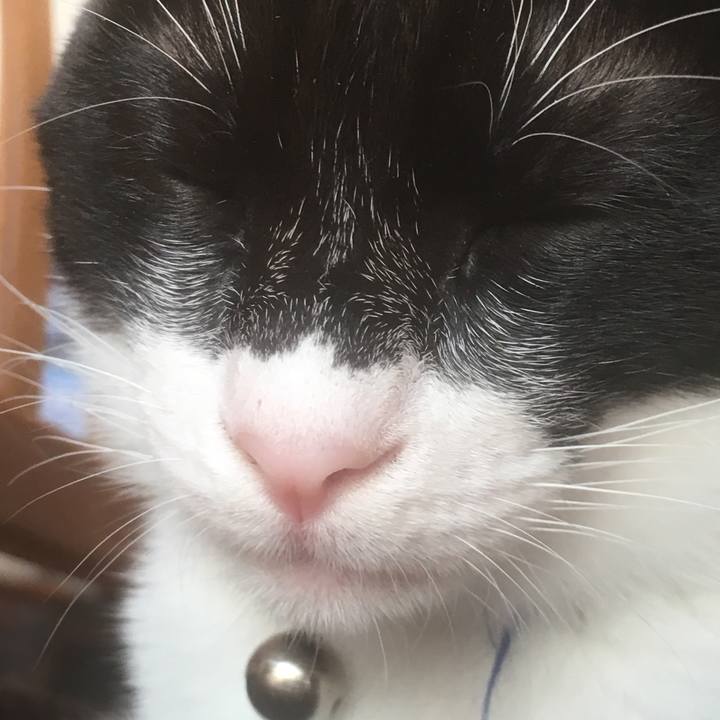 5d50e6d5 aebd 432b 94cf 6f101a2004b0 1516601773336