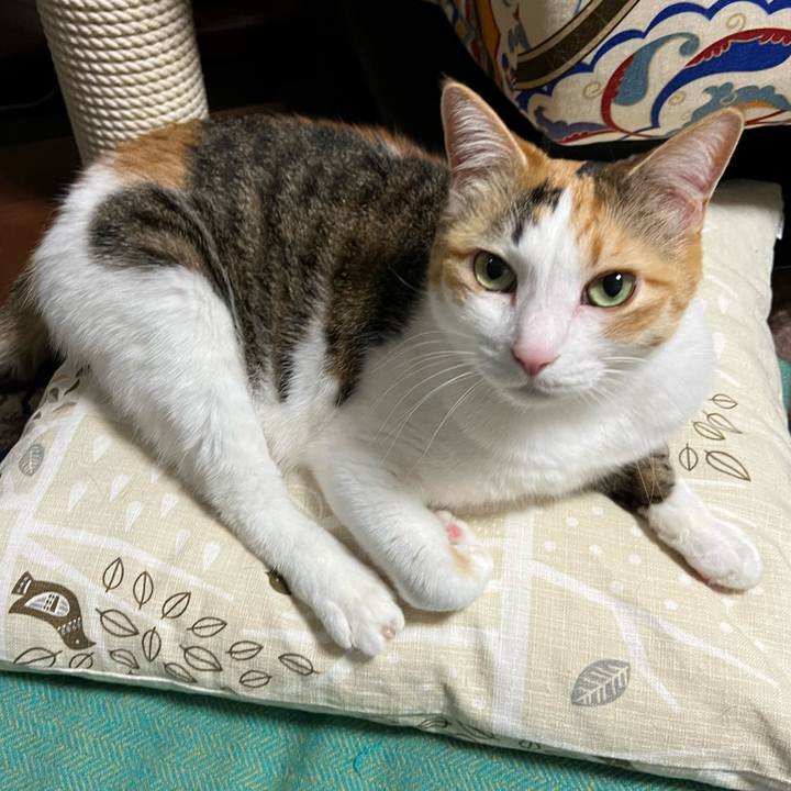 5d51383f bb1e 49bb 94b7 177b2a0fcae8 1770293021581