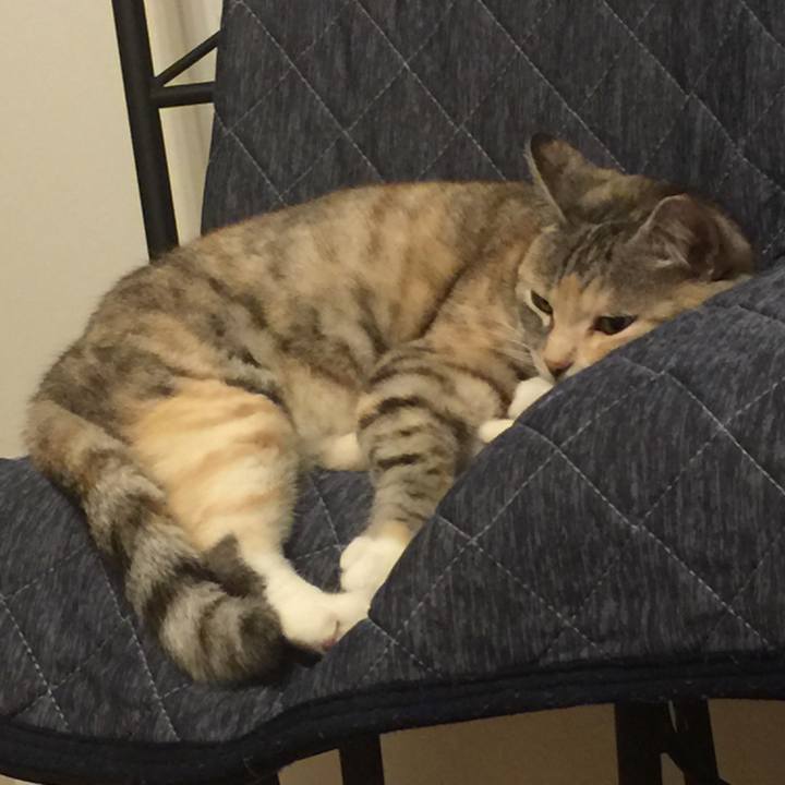 5d517c29 b68e 419a a662 71f362fb7638 1559392516042