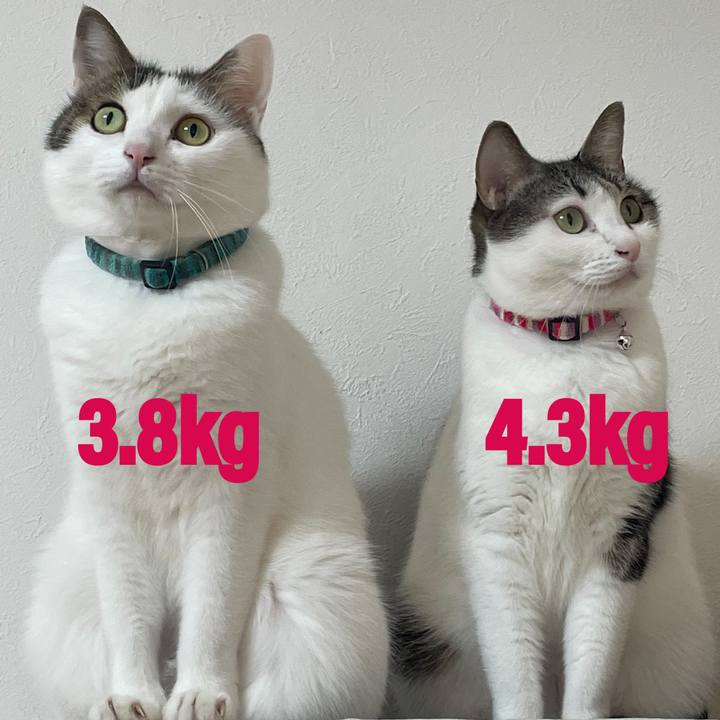 5d518300 8e79 4cf2 80ee a609e471875e 1640497337285