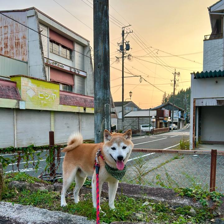 5d5197f7 79b6 44ef 83d9 d152b832aa27 1757848009770