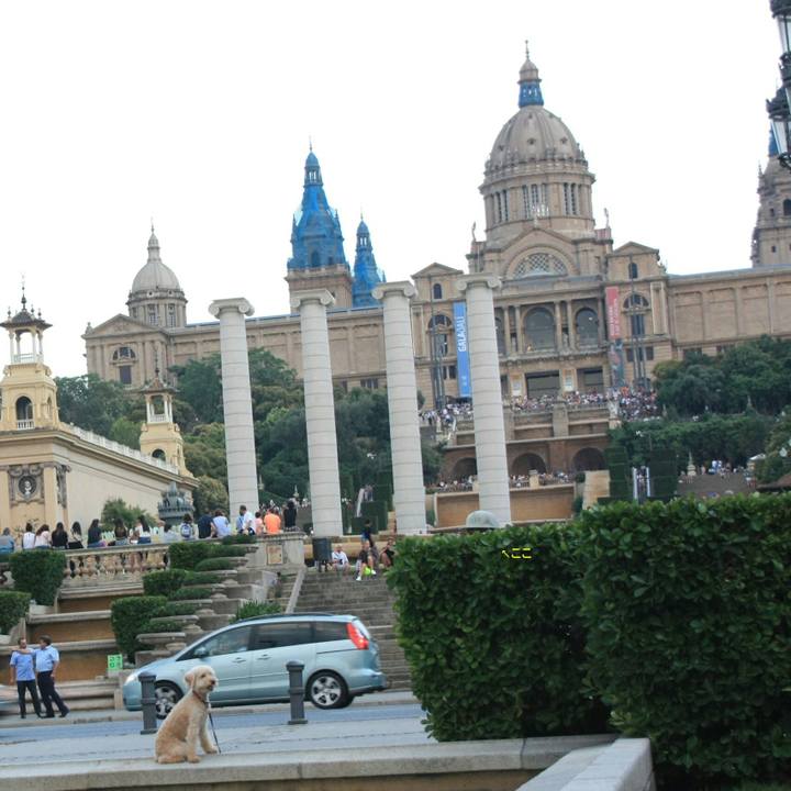 5d51b1dd 6e49 4485 89f8 0fcfd532ed83 1531674023692