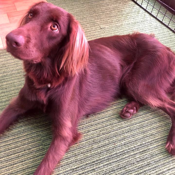 5d51b98b f57f 429d bdc2 fc62e7014832 1600256087319