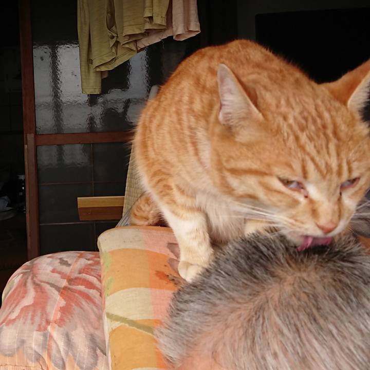 5d51e59e 212a 4e34 9506 40408c5d0bb3 1581744987061