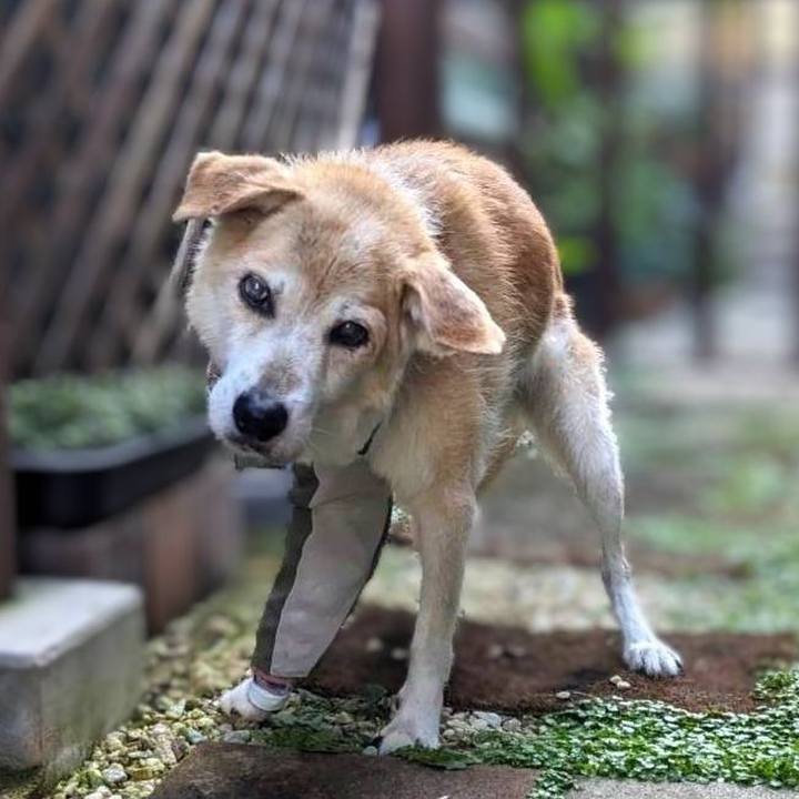 5d520086 9749 49d1 82c7 b4f4c44f8546 1694775087617