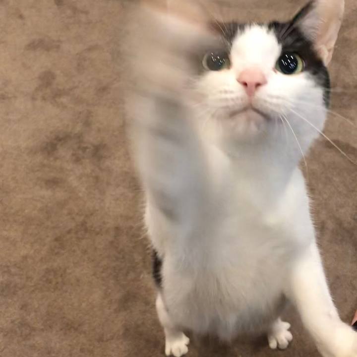 5d520414 7105 4254 a8a0 bcaa146fed0b 1656368982023