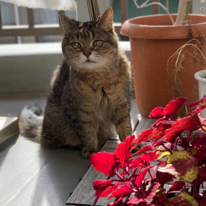 5d521c79 2069 450f b9d3 cb0bb9d4d71e 1609675508872