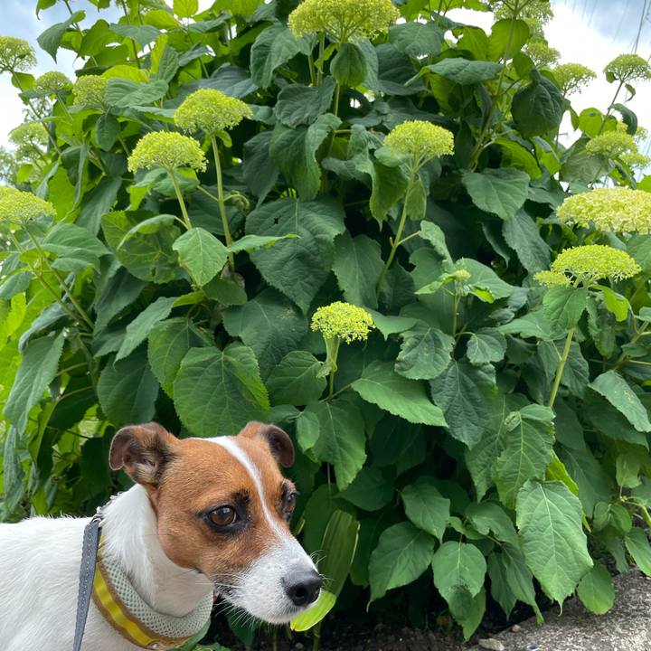 5d5288e7 e6e2 408e a125 2a51cad801ce 1656318272423