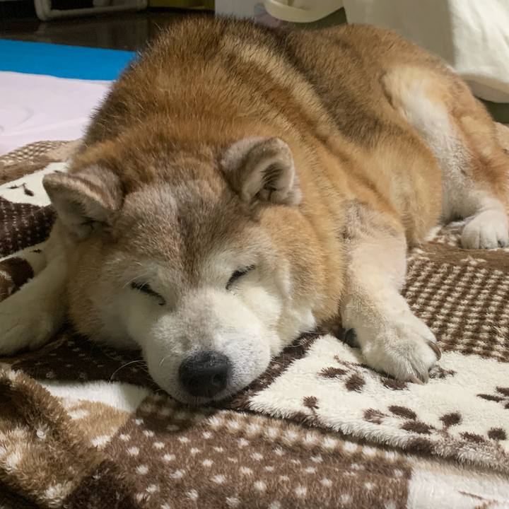 5d52dfa2 498f 4b48 a831 ef1fa715e572 1687352217251