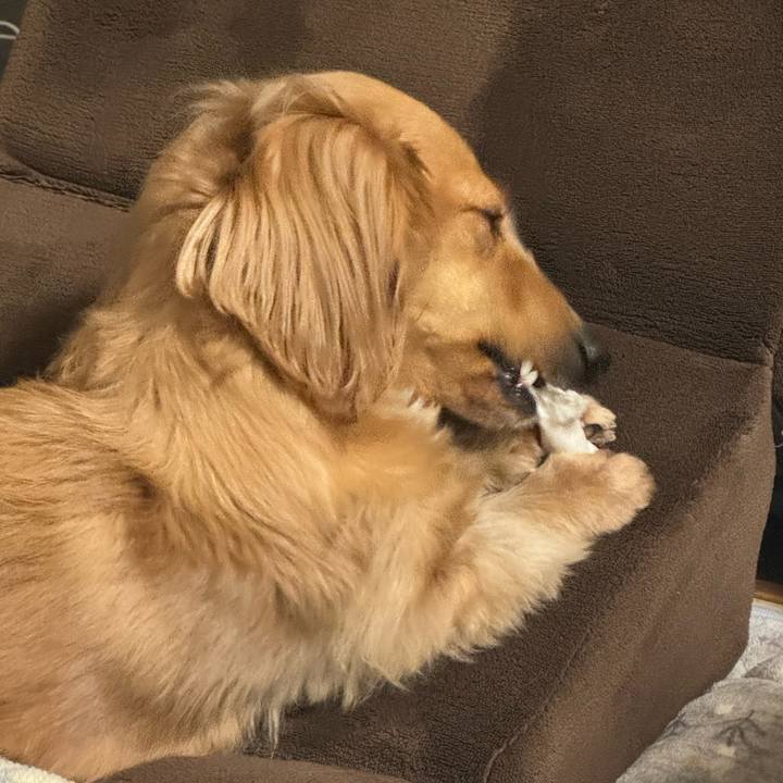 5d52e95d 5520 4358 b2c1 b43840828ccd 1740747070481