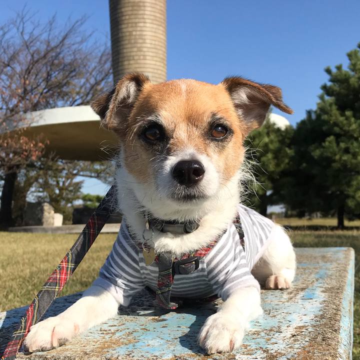 5d52f7e7 bff2 43a3 bc8c 99b7eec7ee78 1541212474881