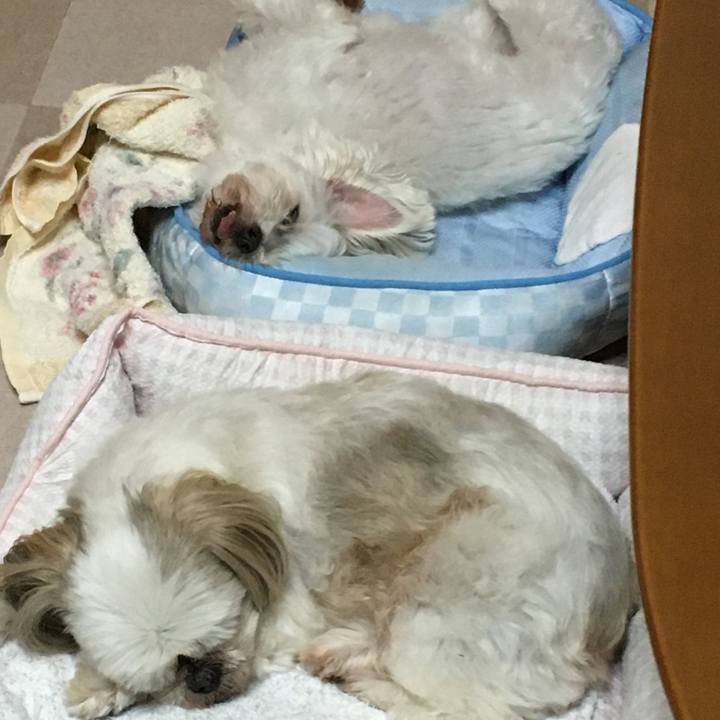 5d5300f9 f2ac 451a 9f48 8051e3a232c7 1625312783218