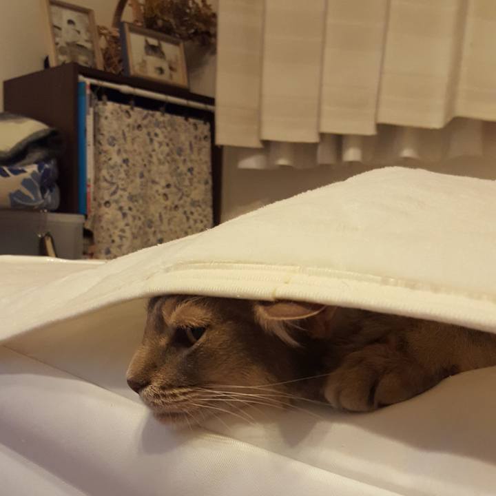 5d531305 d8c6 478b b217 d62adf586a61 1588589330971