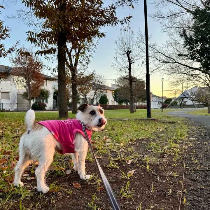 5d532607 b039 4b81 9ac6 73f1e767d2b9 1735358228750