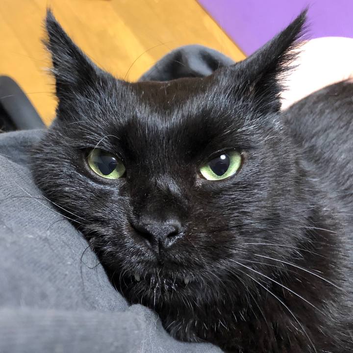 5d5331b7 7a77 4ec7 89f5 7a73398d2b9d 1606577203890