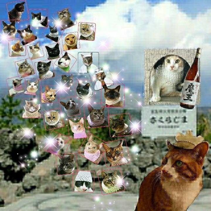 5d53387b e969 4198 92c4 e41c96ab2781 1532697652566