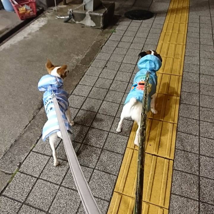 5d5348b6 f617 49cc adb8 7cbd27273fdc 1525262953828