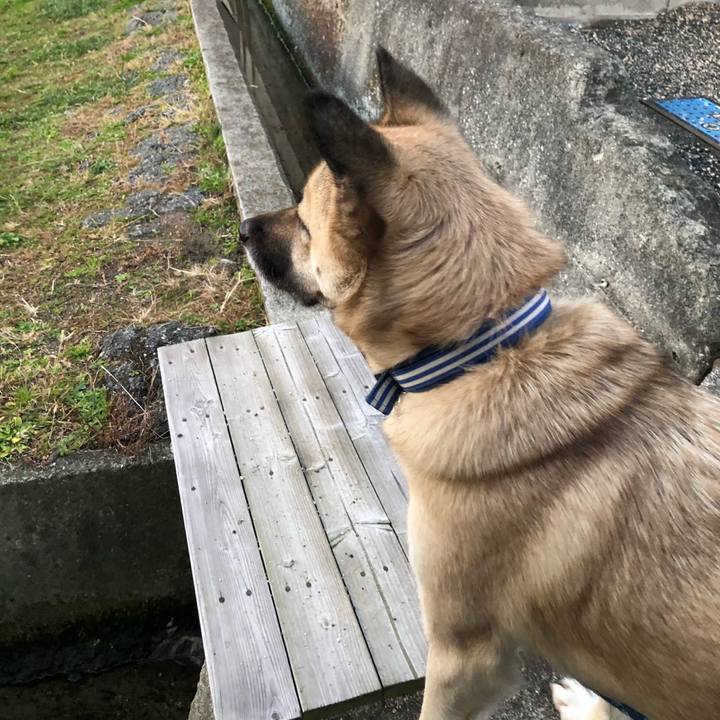 5d536794 61b0 49d6 b39c 77e373c3f176 1545915680534