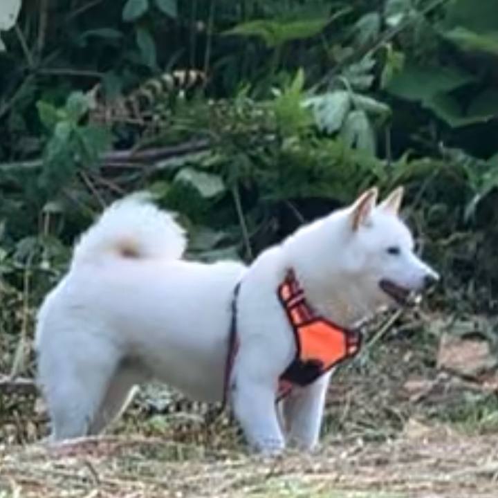 5d536d91 abd2 42ae 90d5 823824b0dad0 1626117988656