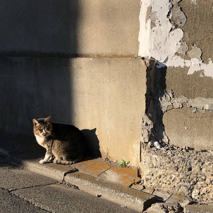 5d5371ef a14f 4f73 b7e7 c97da7c88b0a 1547987650318