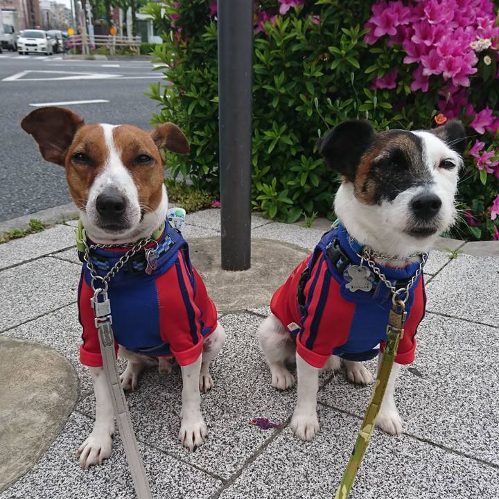 5d53f0d5 475c 48b1 8713 069180b678fb 1557103280335