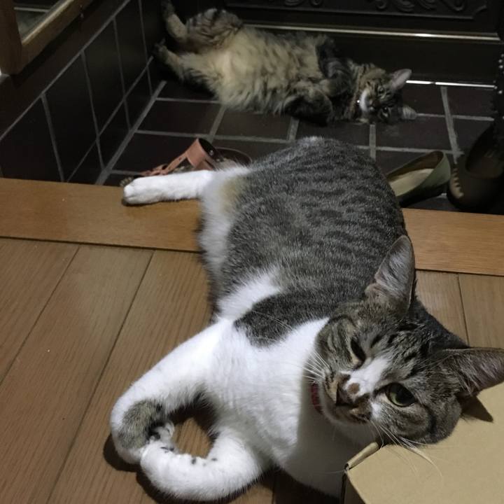 5d53fb1d 2e2c 4a46 9047 fa641a980e55 1535202720819