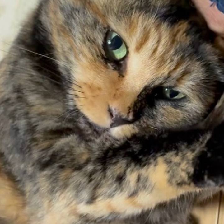 5d542132 12c1 4f38 b8d6 3cdb3ab952a0 1756678685149