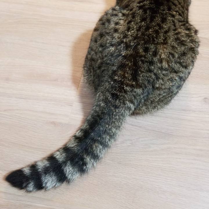 5d542856 1344 4fbe 910d 7dc488331b0f 1568587336850