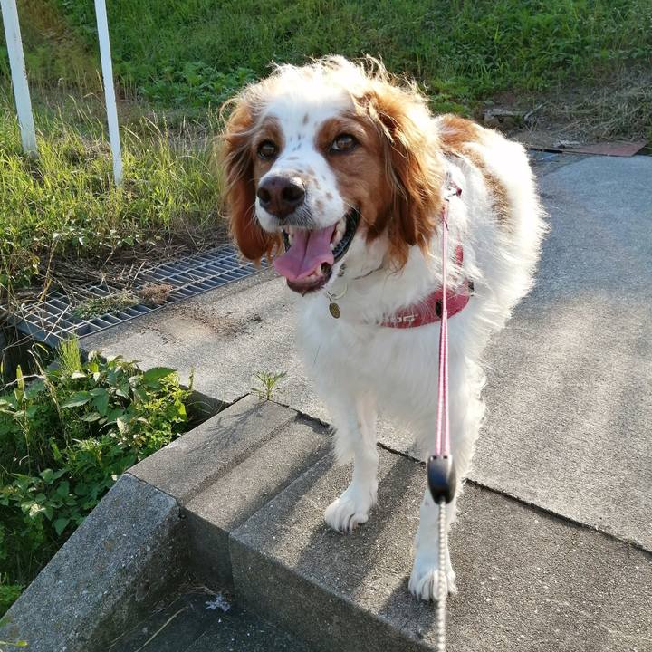 5d542e1d 3eae 405b b08f a67c77d40d1d 1592913087766