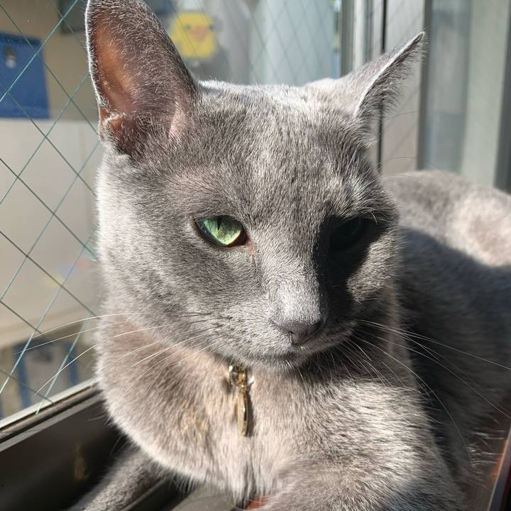 5d54394b 4d68 43ae 93ac fbe51dced6e4 1627425330083