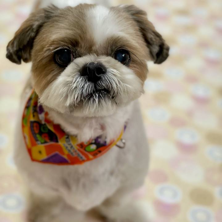 5d5471e1 e567 4669 9543 6d366d4fc4eb 1635564959876