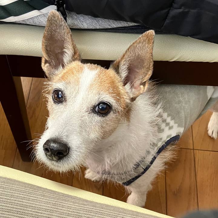 5d548e2a c4fc 4865 bc5e a67a3e6364b8 1735873650298