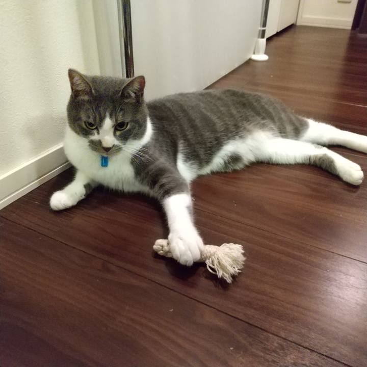 5d549cb6 1009 4562 b38b 284a564edf78 1605352334377