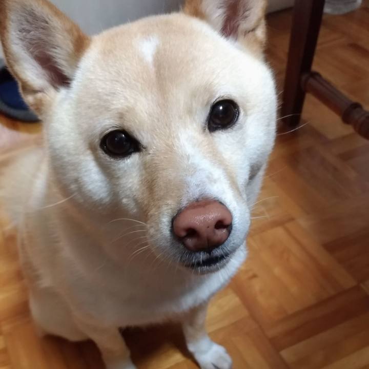 5d549de6 73ae 4d4f 93c3 f4f6daf270d9 1586988674384